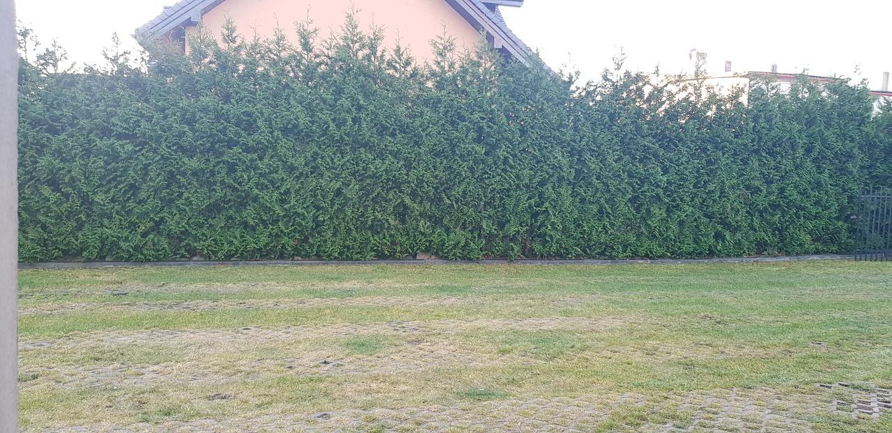 Pokoje Goscinne Pryzmat Wladyslawowo Bagian luar foto